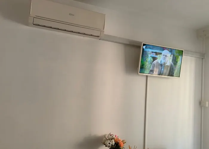 Cosy Studio
